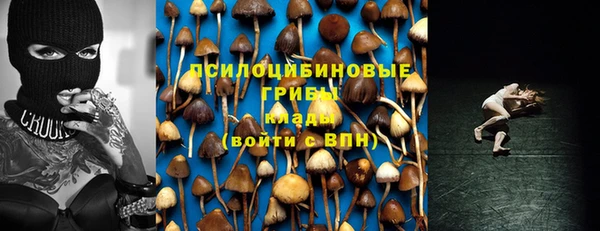дживик Невель