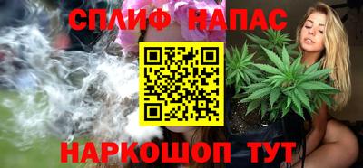 ПСИЛОЦИБИНОВЫЕ ГРИБЫ Новозыбков
