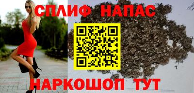 ПСИЛОЦИБИНОВЫЕ ГРИБЫ Новозыбков