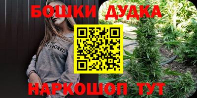 ПСИЛОЦИБИНОВЫЕ ГРИБЫ Новозыбков