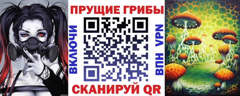 где можно купить   Старый Оскол  МЕГА ссылка  Галлюциногенные грибы Magic Shrooms 