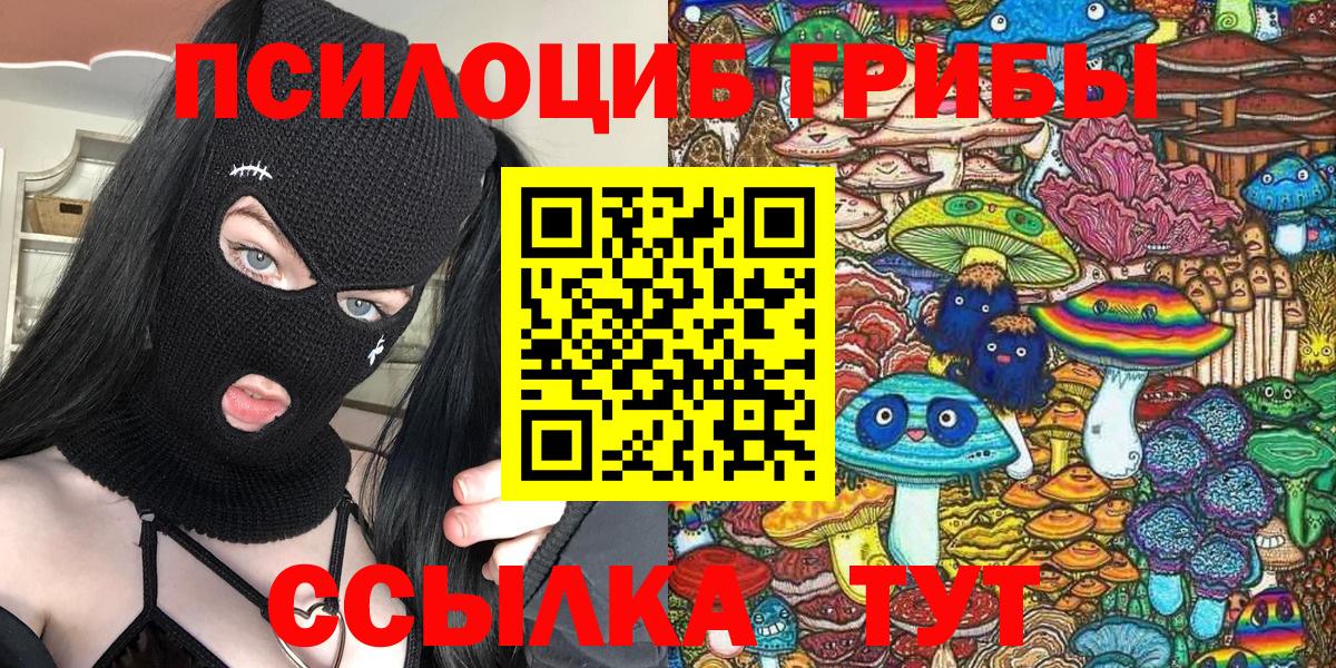 Старый Оскол  Галлюциногенные грибы Psilocybe  Вход с VPN  Псилоцибиновые грибы мицелий 